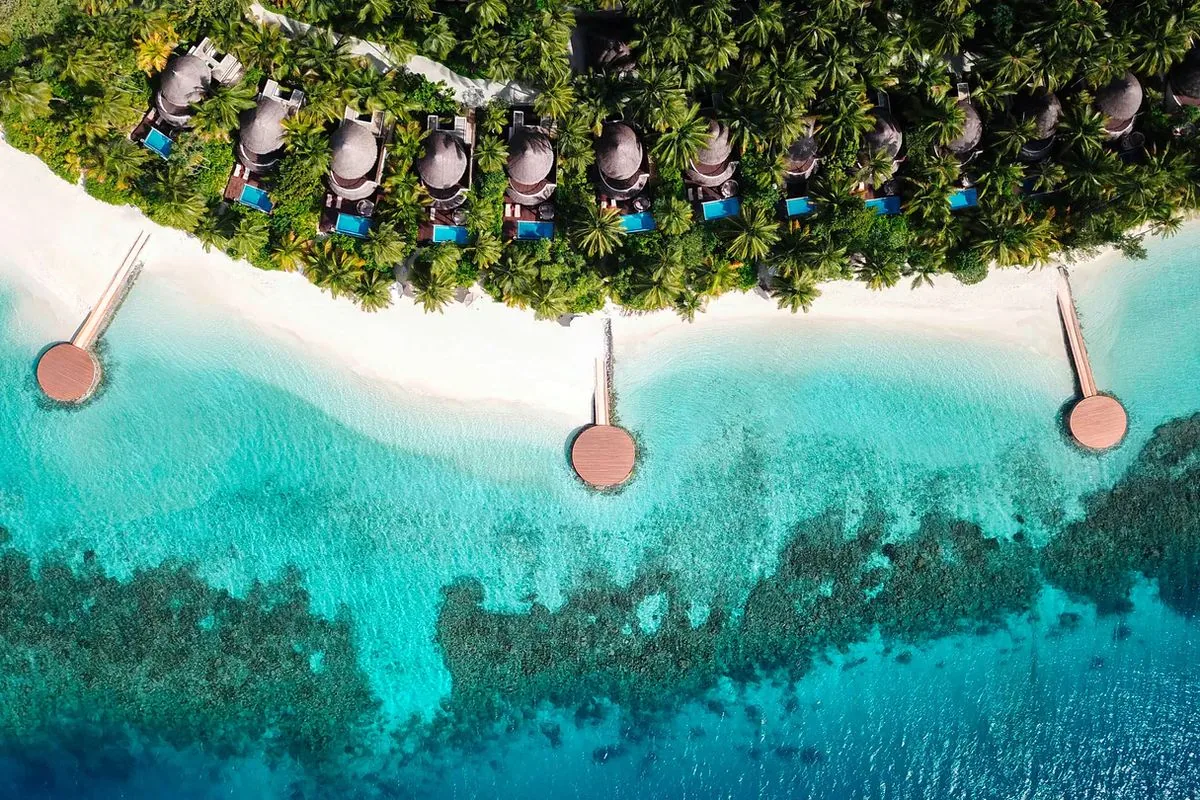 W Maldives, villa beach, Alif Dhaal (South Ari) Atoll, Maldives, Beach Oasis villa row aerial showing the line of thatched-roof Beach Oasis villas with private plunge pools tucked into the dense palm canopy along the island fringe, with three round private gazebos extending into the lagoon at intervals.